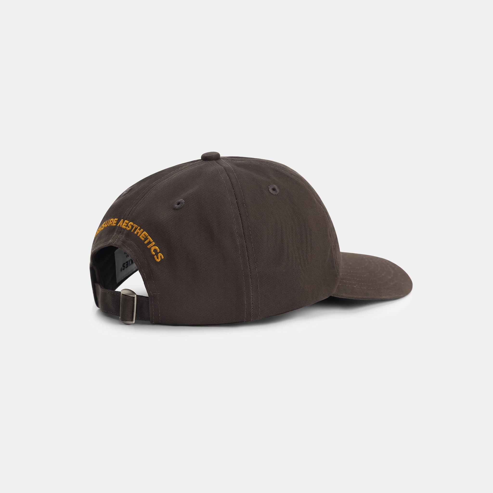 Rainy Days Waxed Dad Cap