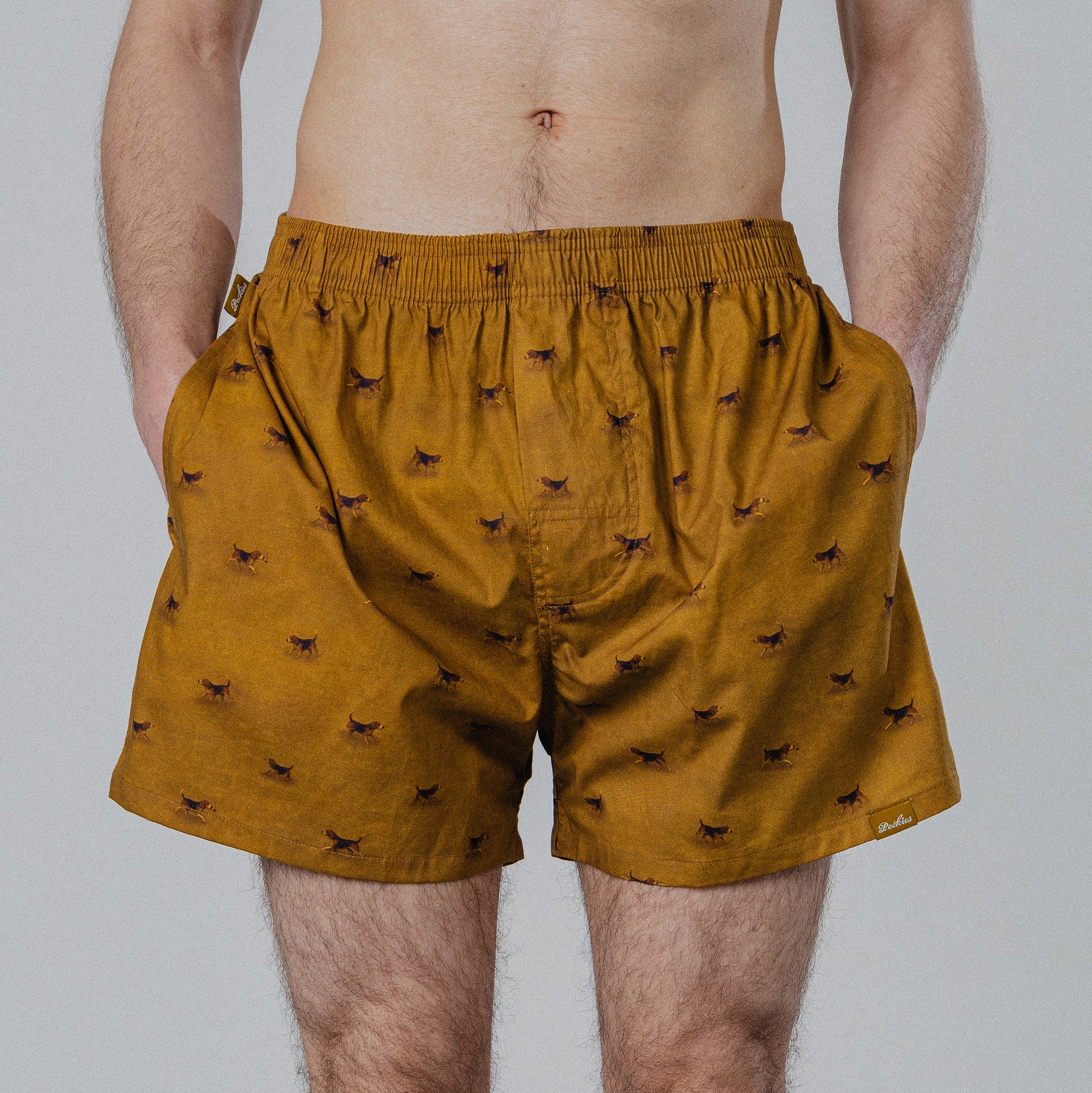 Beagle Boxers - Mustard